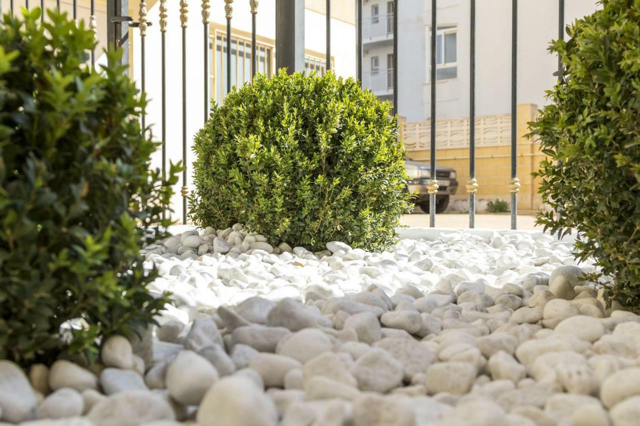 Calmo Singular Apartments Gandia Ngoại thất bức ảnh